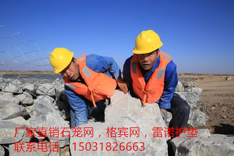 應(yīng)用案例