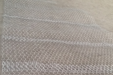 雙隔板雷諾護墊